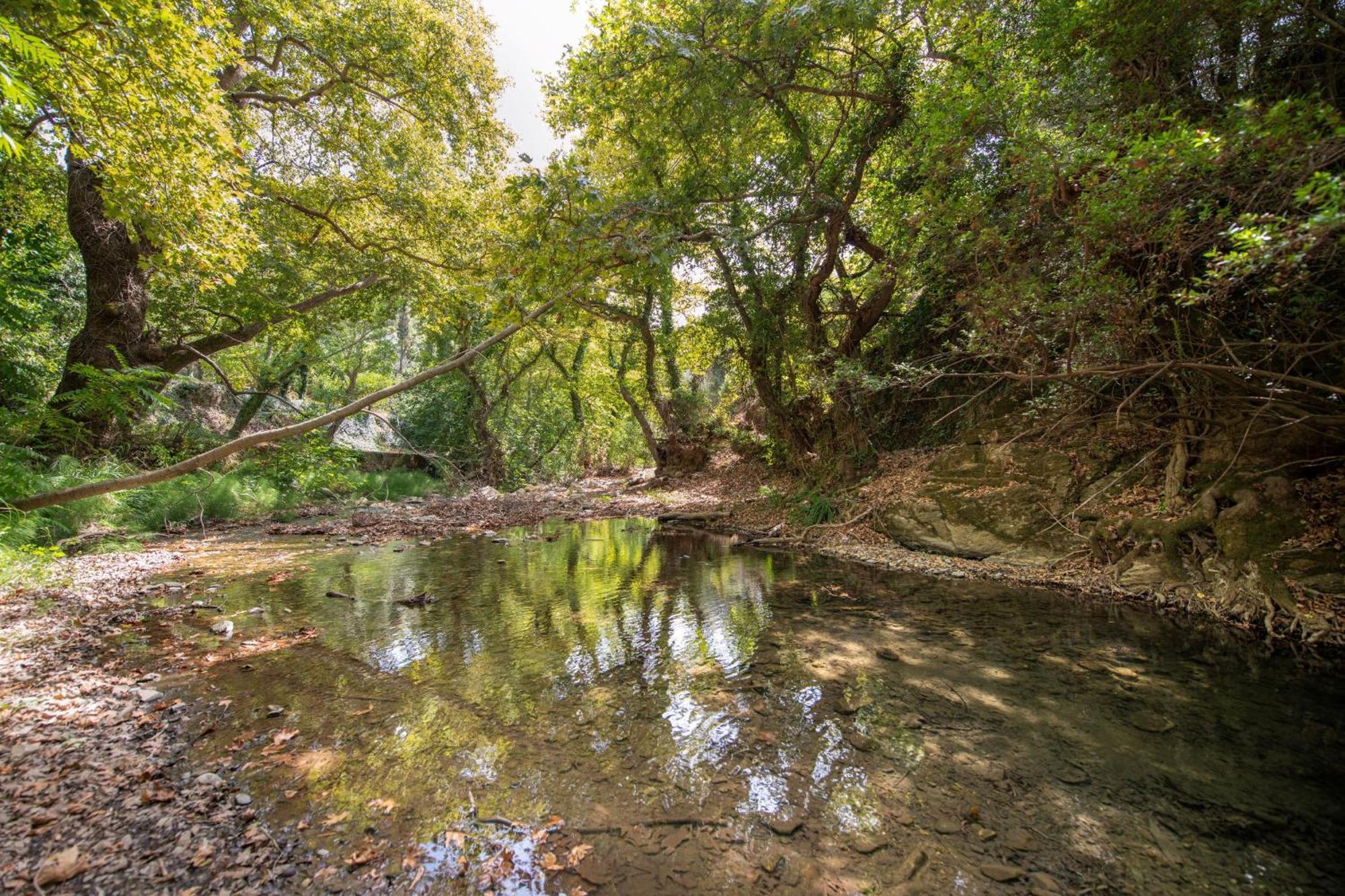 Serenity River Villa Palaiochora Luaran gambar